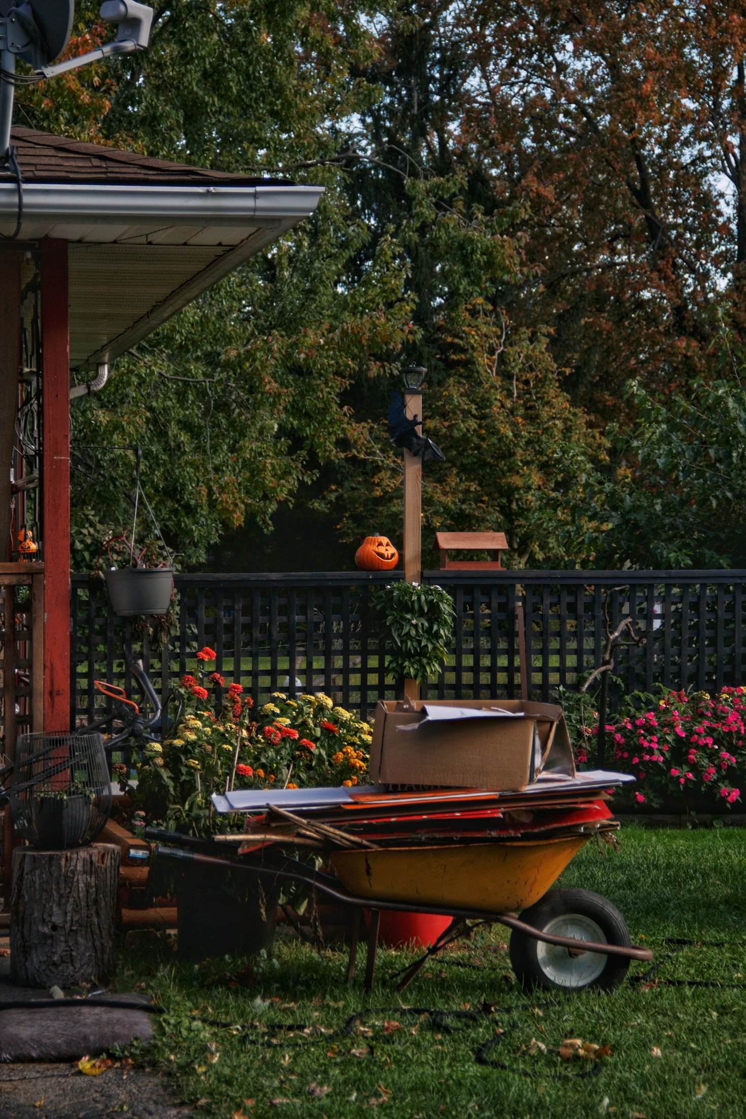 Seasonal Landscaping Ideas for Idaho Falls Homes