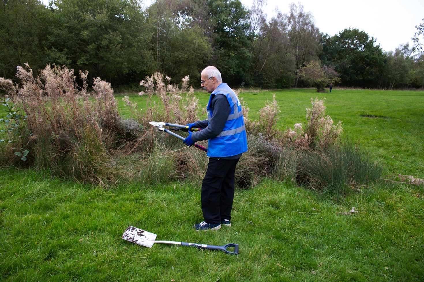 Idaho Falls Landscaping Trends to Watch In 2024